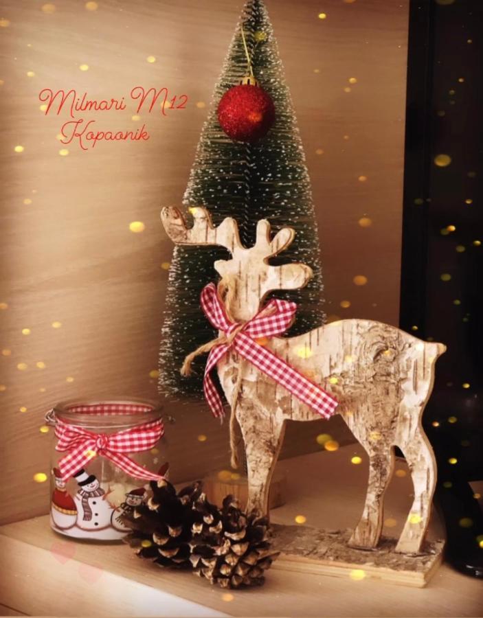 Milmari M12 Apartment Kopaonik Ngoại thất bức ảnh